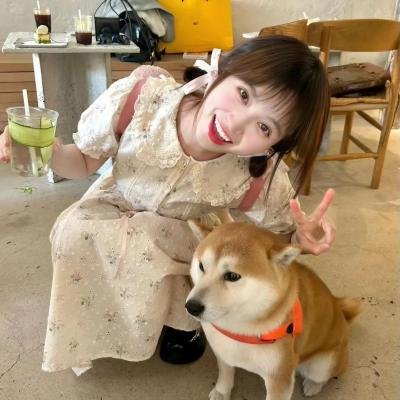 摘星甜点王
